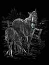 Kreativni set za graviranje - engraving - Konji