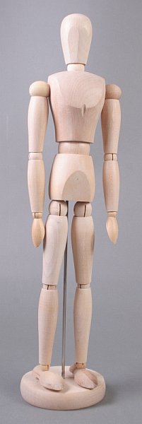 Drveni model ljudskog tijela - muškarac - 40 cm