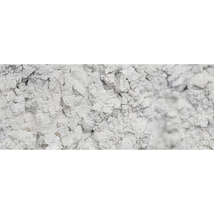 Pigmentni prah Renesans 1000 g | pearl white