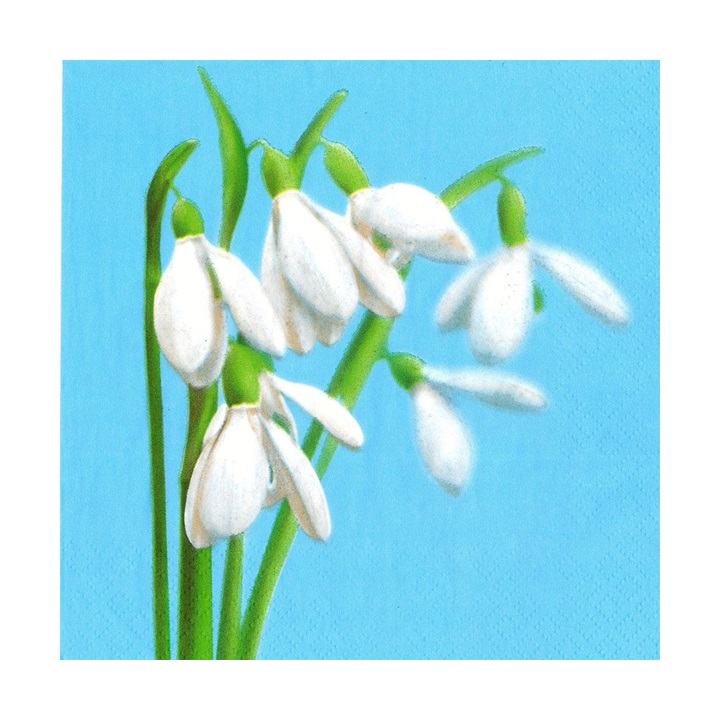 Salveta za dekupaž - Cvijet visibaba - 1 komad - SLWI006601